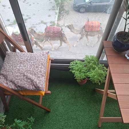 Azur Appartement エッサウィラ エクステリア 写真