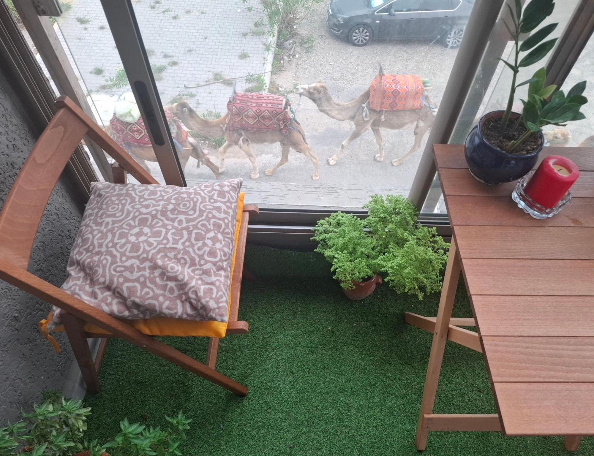 Azur Appartement エッサウィラ エクステリア 写真